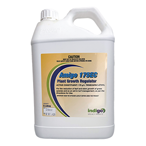 Amigo 175EC Plant Growth Regulator