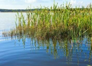 Water Management Portfolio by Indigo Specialty Products