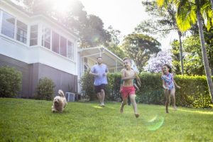 Home garden pest control by Indigo Specialty Products