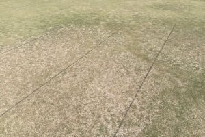 ground pearl in bowling green