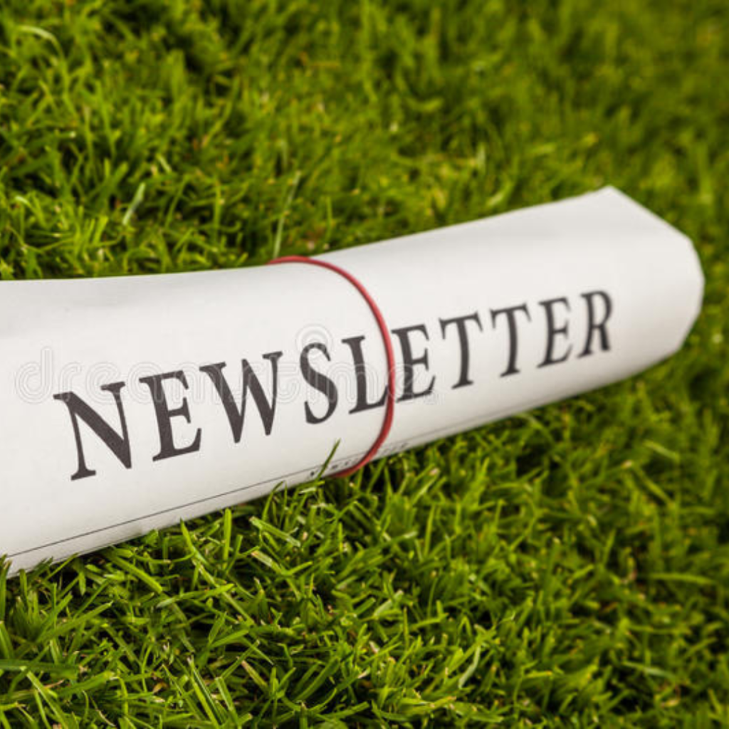 Indigo Newsletter