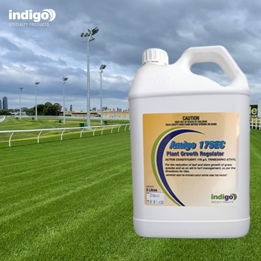 Amigo 175EC Plant Growth Regulator from Indigo Specialty Products