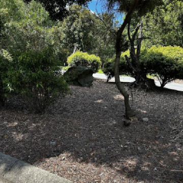 Fast Draw used at ArborCare QLD