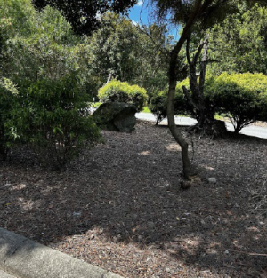 Fast Draw used at ArborCare QLD